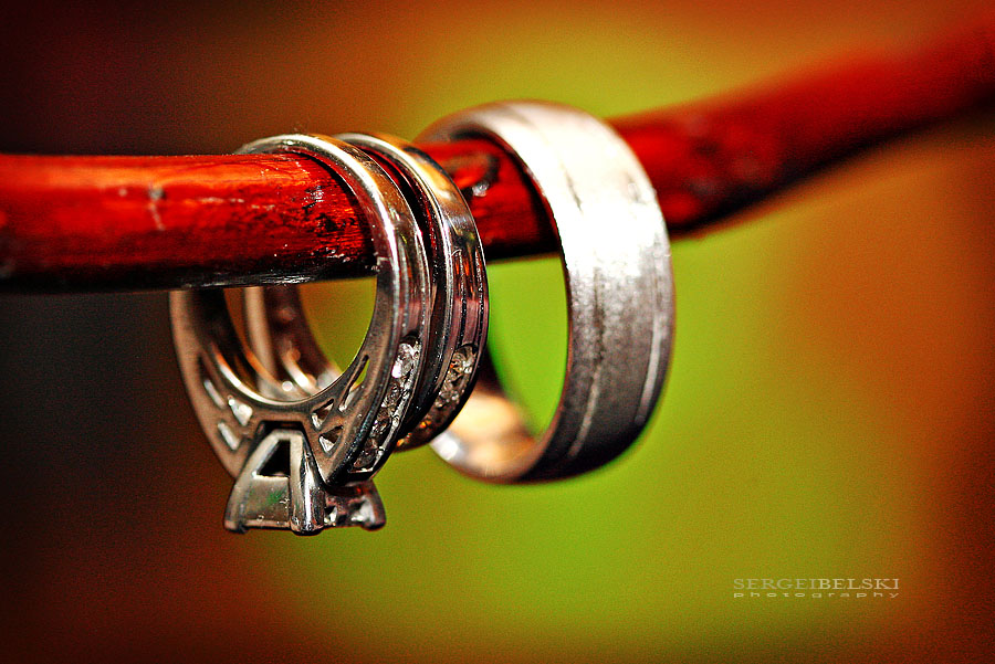calgary wedding photographers -  wedding rings photo