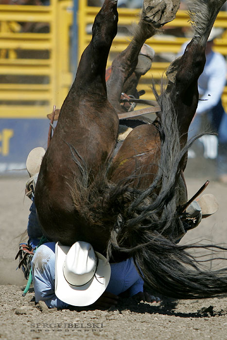 calgary sports favourite photo