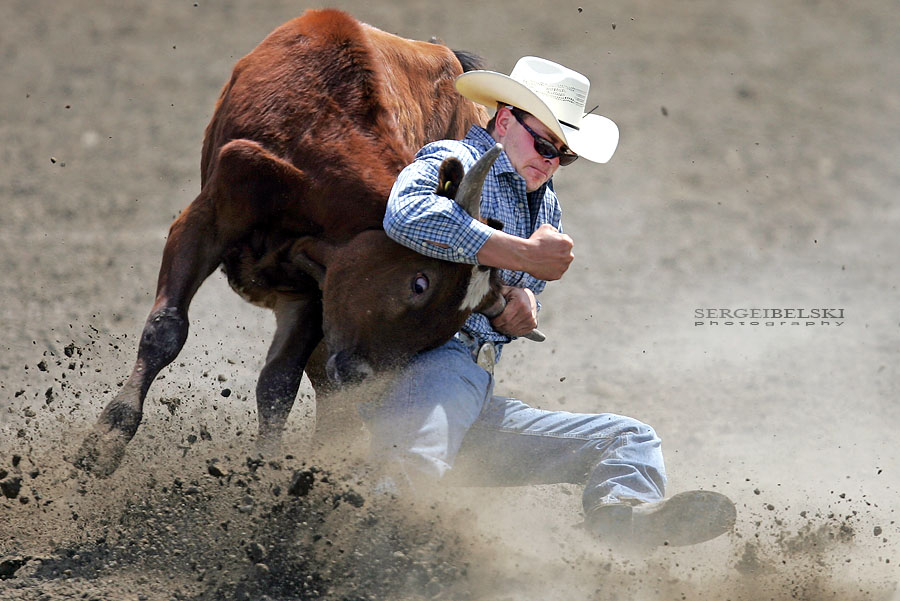 calgary sports favourite photo