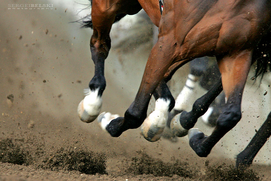 calgary sports favourite photo