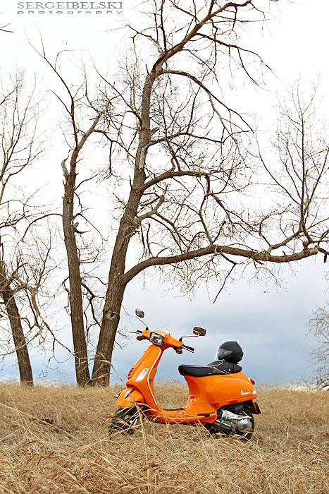 alberta photographer vespa photo