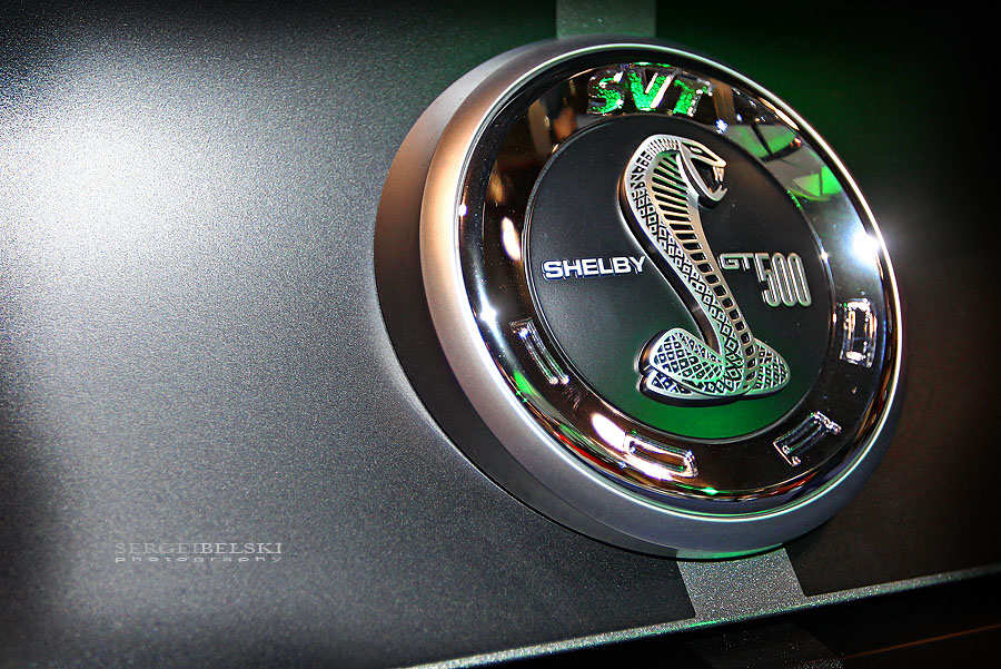 calgary international auto truck show photo