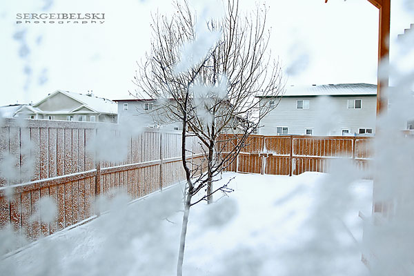 airdrie photographer photo