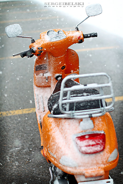 calgary wedding photographer vespa photo