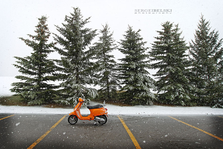 calgary wedding photographer vespa photo