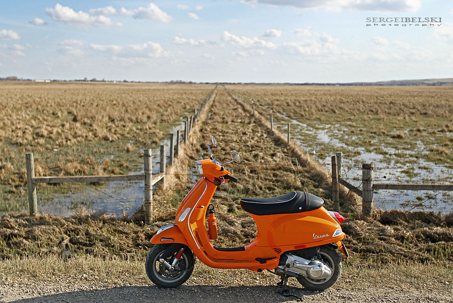 calgary photographer vespa photo