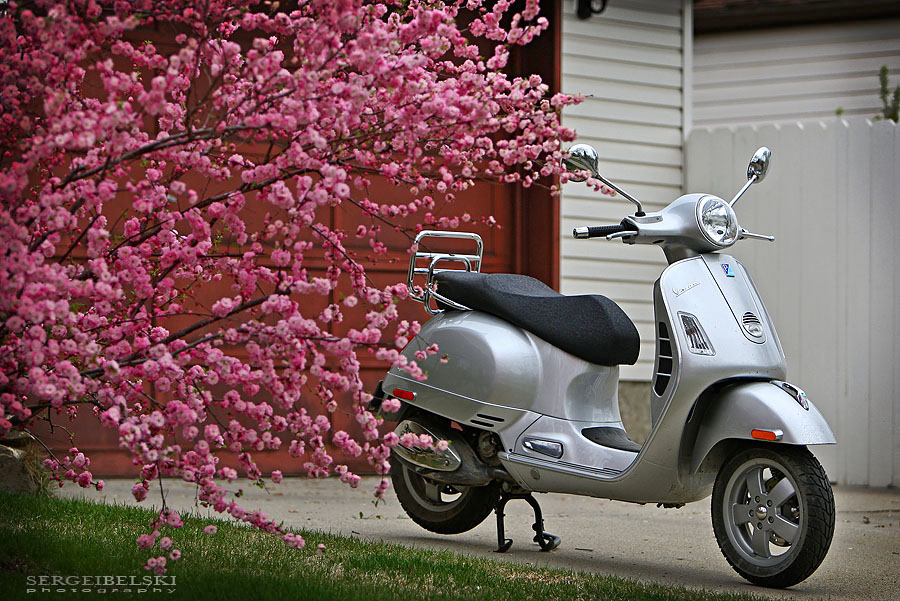 calgary wedding photographer vespa photo