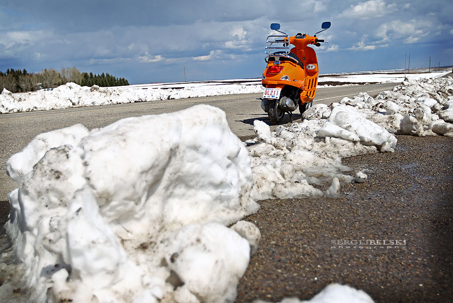 calgary wedding photographer vespa photo