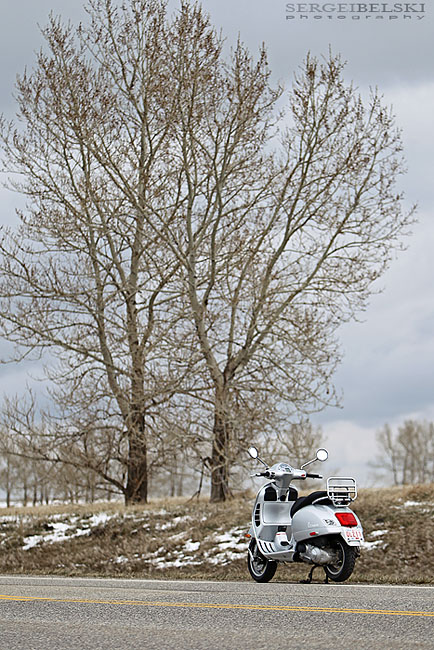 calgary wedding photographer vespa photo