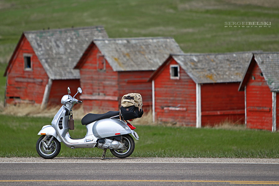 calgary wedding photographer vespa photo