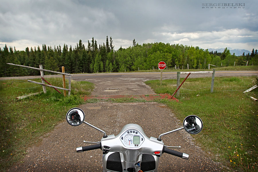 calgary wedding photographer vespa photo