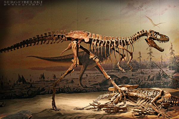 drumheller trip photo