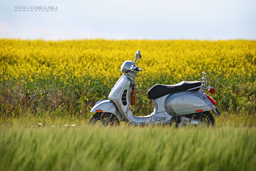 calgary wedding photographer vespa photo