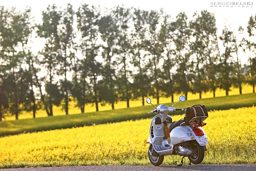 calgary wedding photographer vespa photo