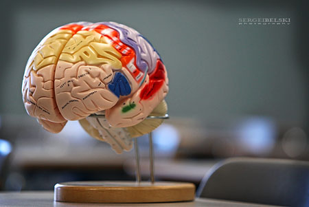 calgary photographer SAIT photo