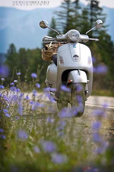 calgary wedding photographer vespa photo