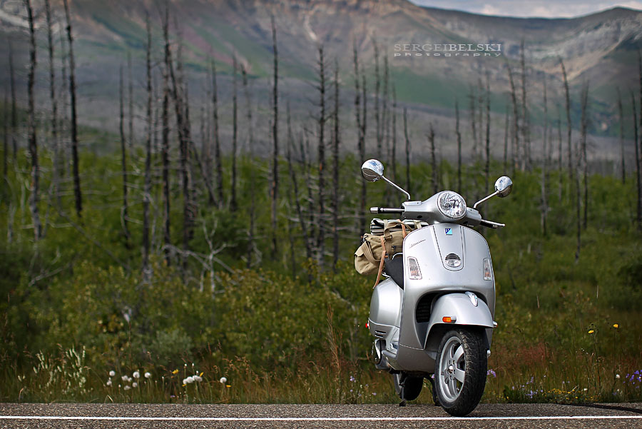 calgary wedding photographer vespa photo