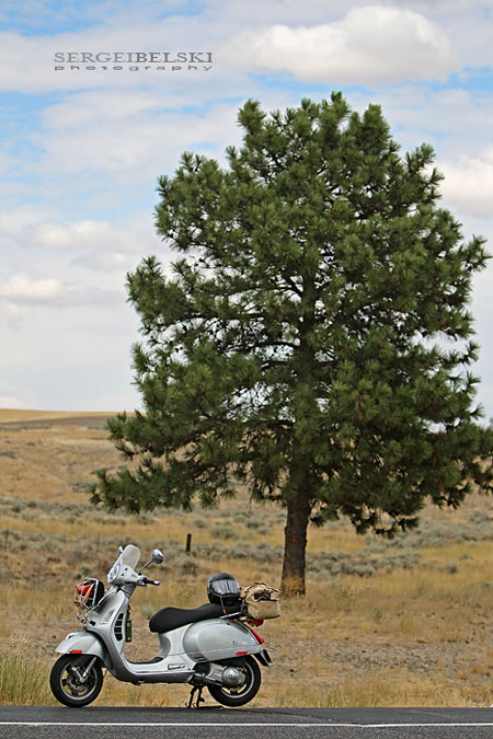 calgary wedding photographer vespa photo