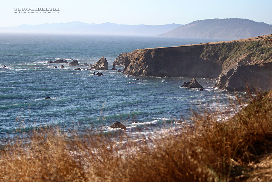 calgary wedding photographer vespa photo