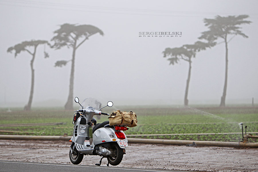 calgary wedding photographer vespa photo