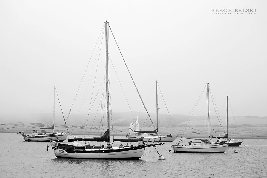 calgary wedding photographer vespa photo