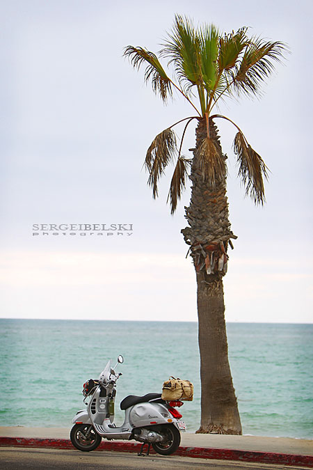 calgary wedding photographer vespa photo