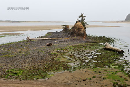 calgary wedding photographer vespa photo
