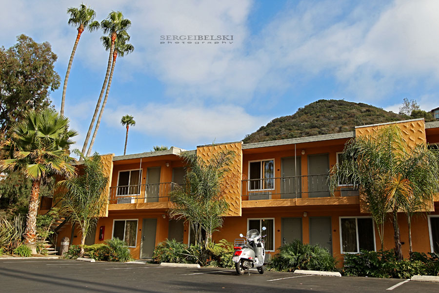 calgary wedding photographer vespa photo