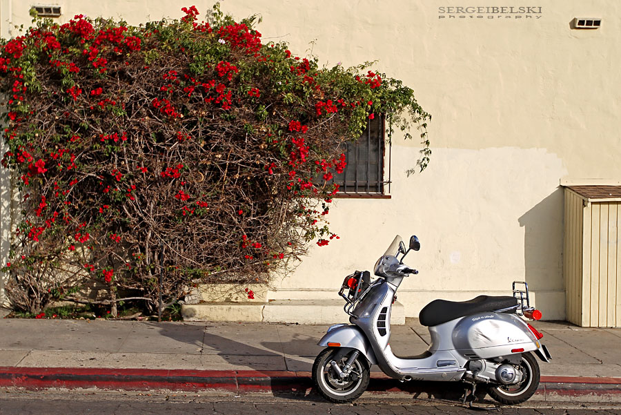 calgary wedding photographer vespa photo