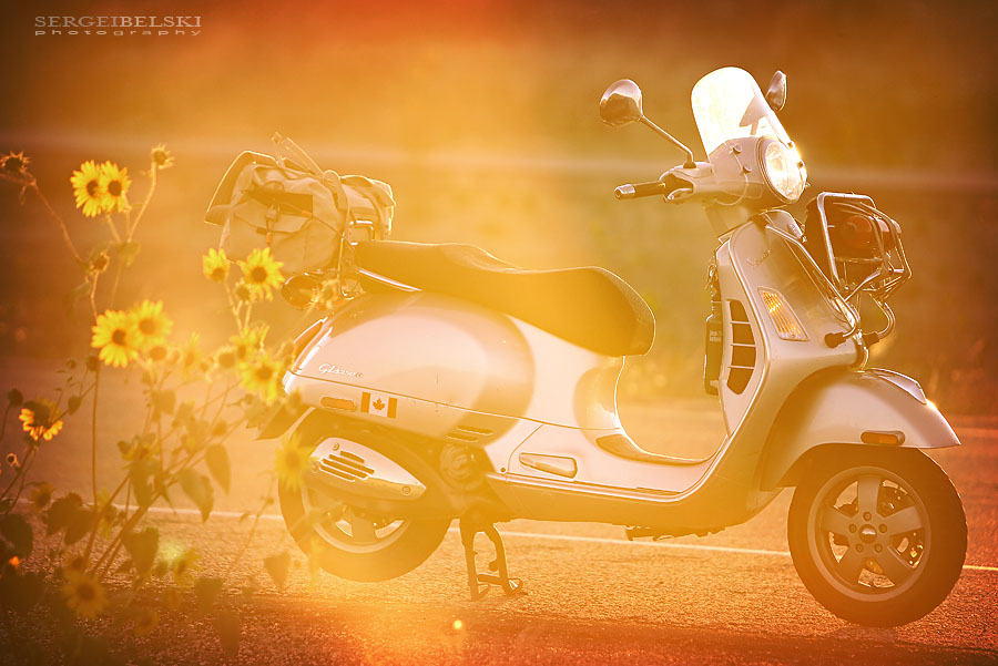 calgary wedding photographer vespa photo