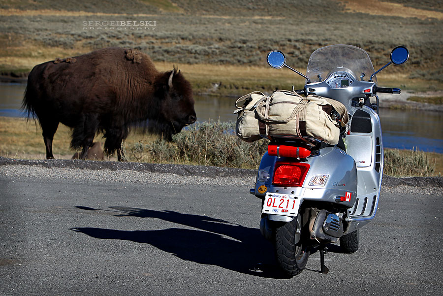 calgary wedding photographer vespa photo