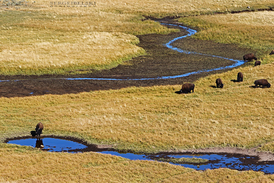 calgary wedding photographer vespa photo
