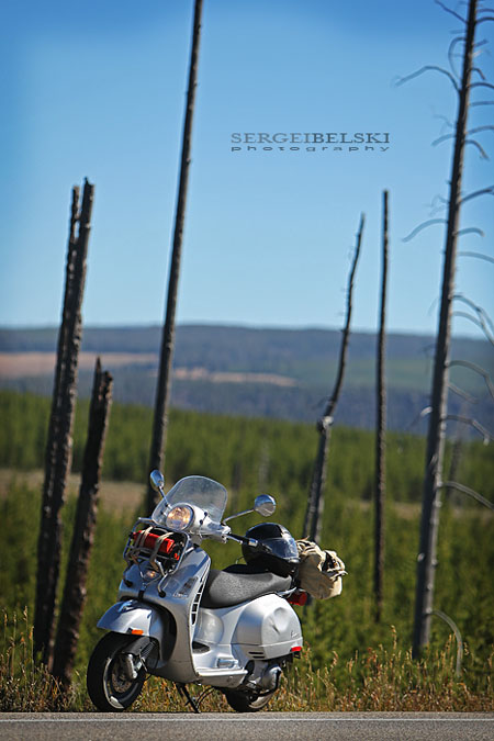 calgary wedding photographer vespa photo