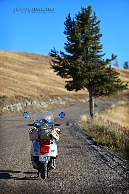 calgary wedding photographer vespa photo