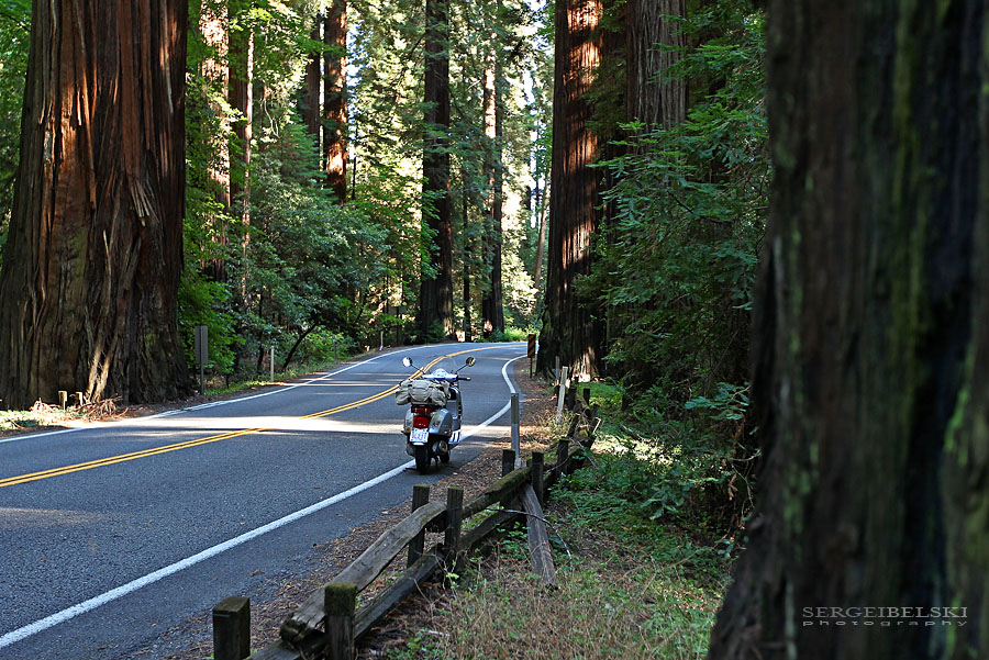 calgary wedding photographer vespa photo