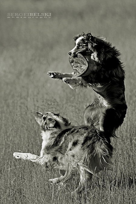 AirdrieLIFE magazine photo