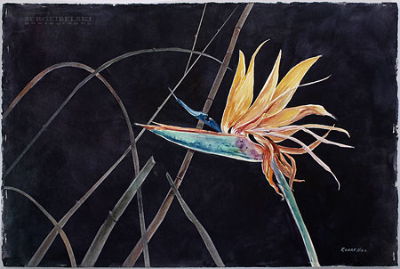 renae hill painting photo