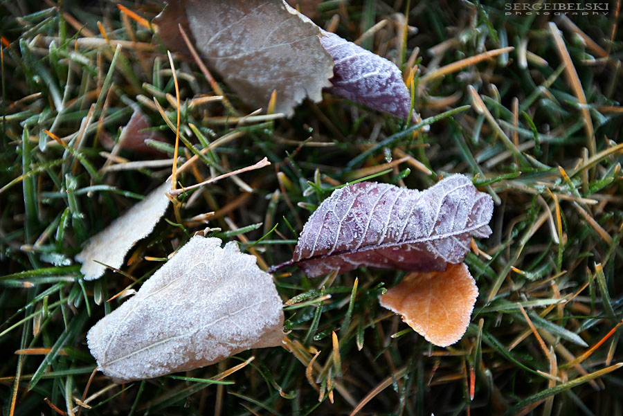 edmonton mall trip photo