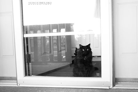 edmonton mall trip photo