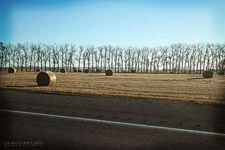 edmonton mall trip photo