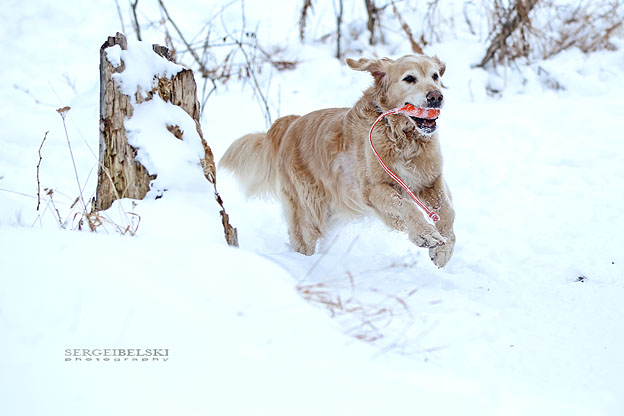 sergei belski family photo shoot