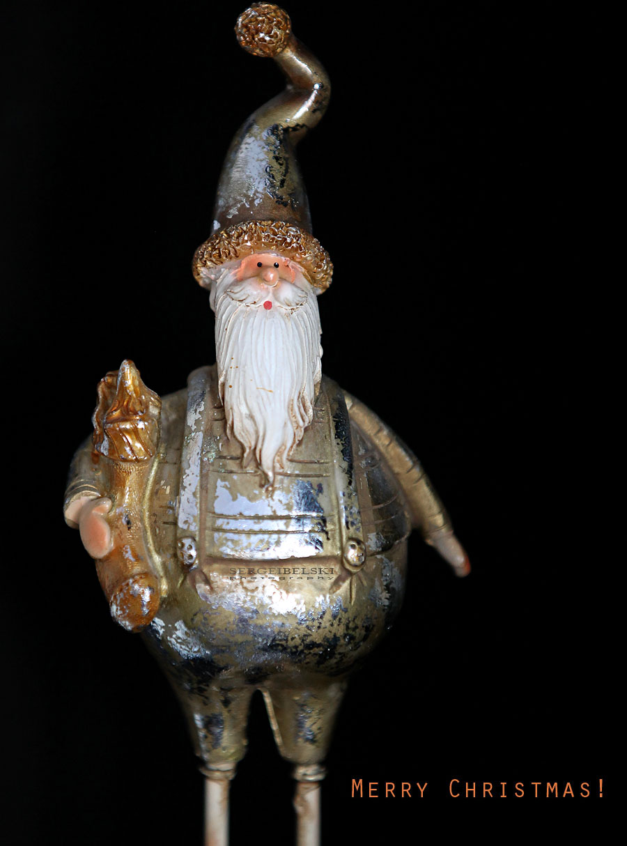 calgary photographer merry christmas card