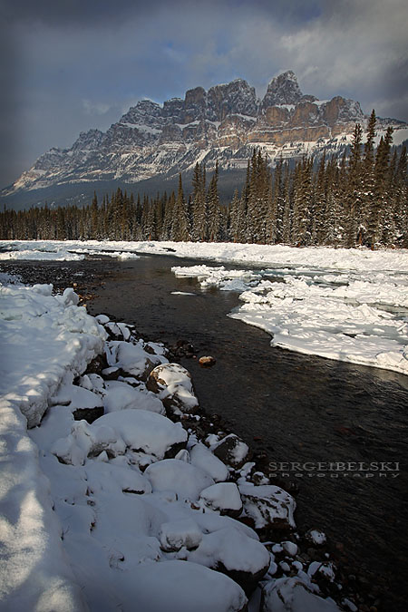 sergei belski family photo shoot