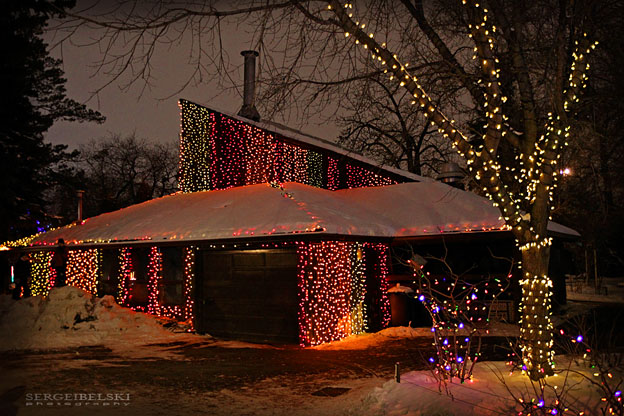 calgary zoolights photo