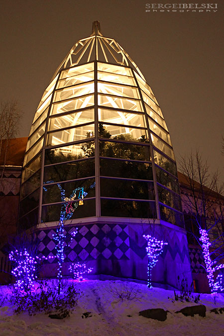 calgary zoolights photo