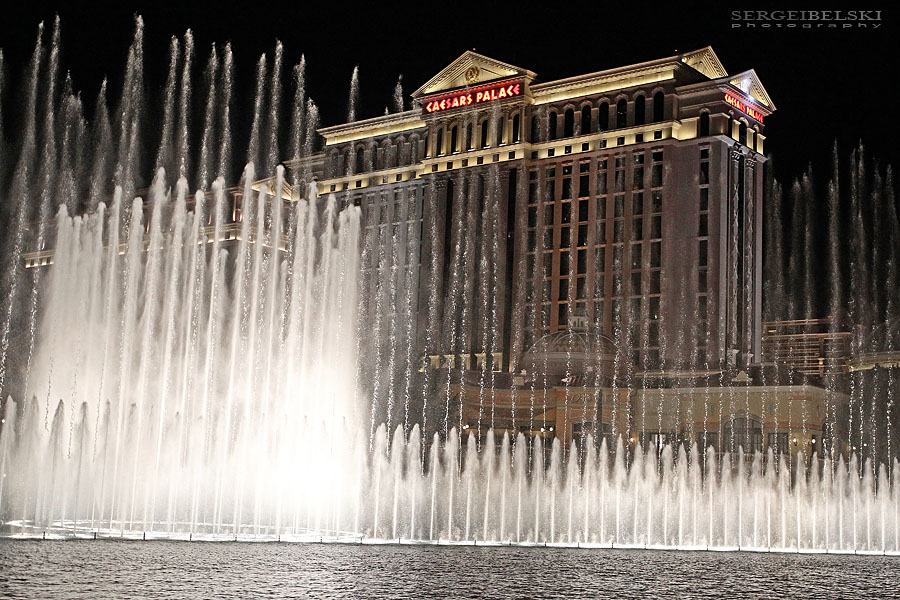 airdrie studio photographer sergei belski photo