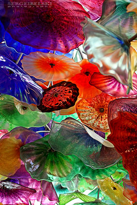 airdrie studio photographer sergei belski photo