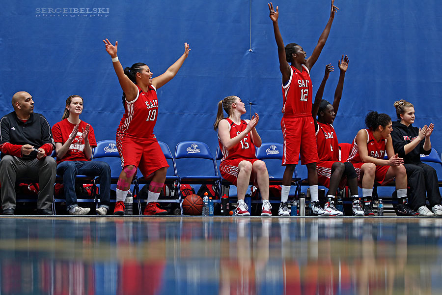 calgary sports photographer mount royal university basketball photo