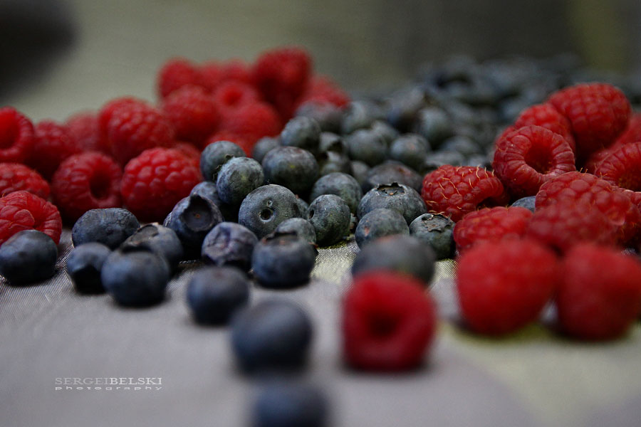 calgary event photographer sait alumni awards photo