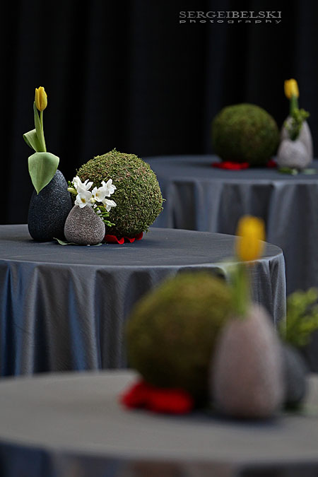 calgary event photographer sait alumni awards photo